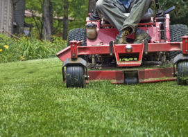 Lawn Mowing image