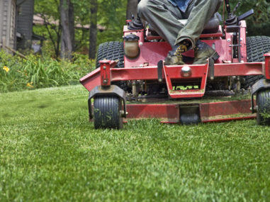 Lawn Mowing image