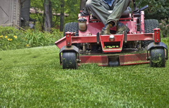 Lawn Mowing image